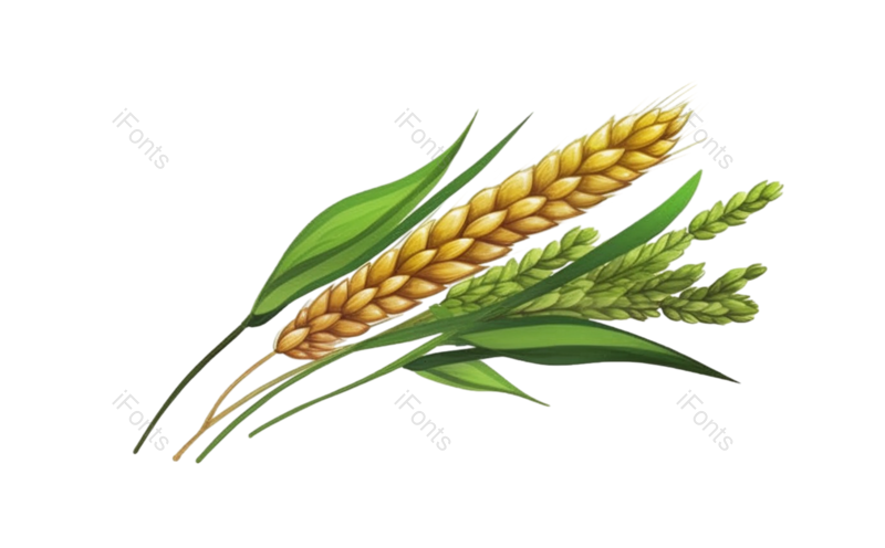 叶子图片,芒种元素,元素PNG,卡通免抠素材